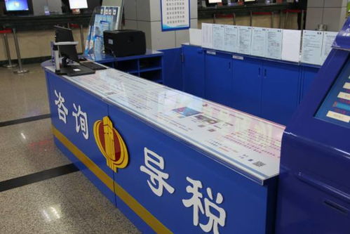 樹新風重實效，踐行“六零”服務承諾——道里區國稅局首創多功能導稅咨詢臺引領知識產權服務新篇章